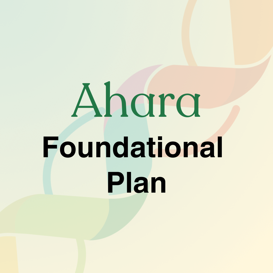 Foundational Plan
