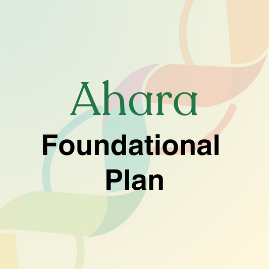 Foundational Plan