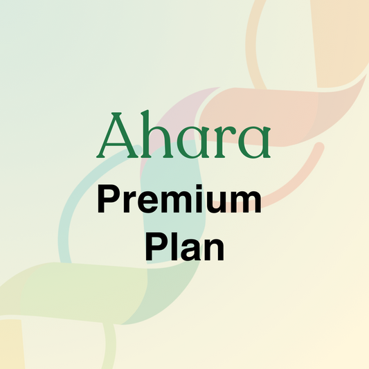 Premium Plan